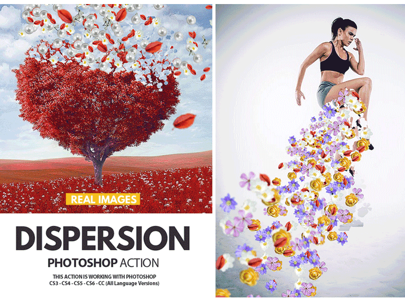 Dispersion Photoshop Action With Images