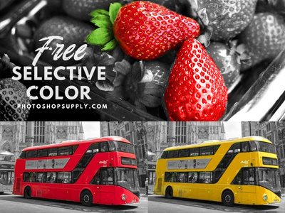 Selective Color ⚡️ Free Download freebie photoshop photoshop action replace color selective color