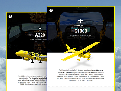 Airplane simulator data pages airplane flight landing ui ux