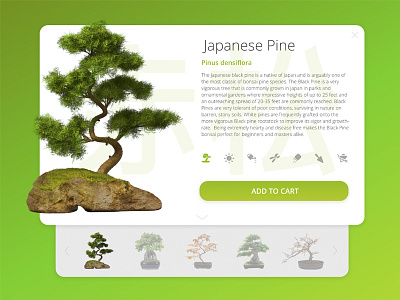 Bonsai Ui bonsai interface ui uiux ux