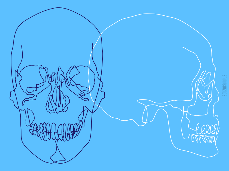 Antroponauta - Skulls - 07 antroponauta continuous line line skull