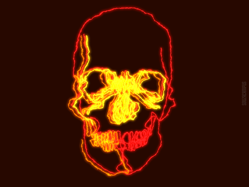Antroponauta - Skull - 11 antroponauta continuous line line skull