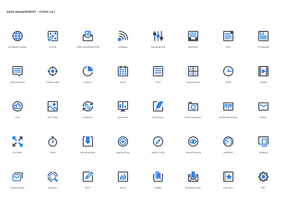 Data management - ICONS data icon ui