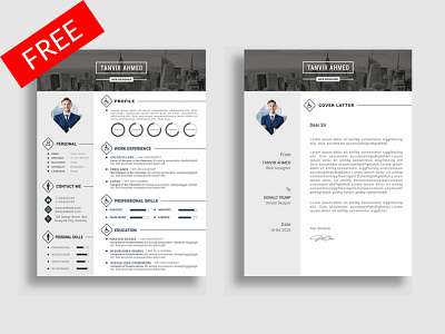 Free Infographic Resume CV