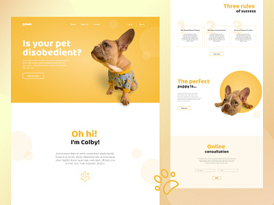 PAWS - Online Pet Training 🐾 checklist design landing landingpage pets training ui webdesing website