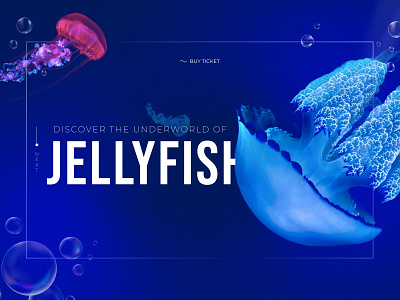 Banner - Jellyfish Museum🐟 animation banner design fish illustration landing logo museum travel ui uibanner underwater