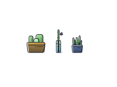 Succulents