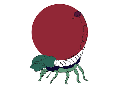 Scorpio lineart colorful design illustration illustrator lineart minimal scorpio scorpion zodiac zodiac sign
