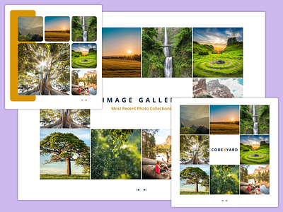 Gallery Design Template art design gallery images magazine nature ui ui design uiux user interface web design web site website design