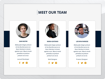 Team Member Carousel challange dailyui design figma team team member ui ui design uiux web design website