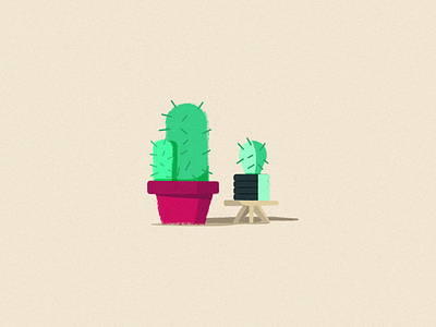 Cactus Family