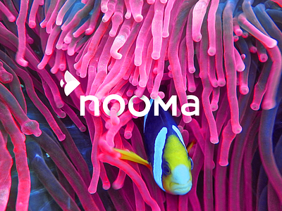 nooma branding logo typography ui ux