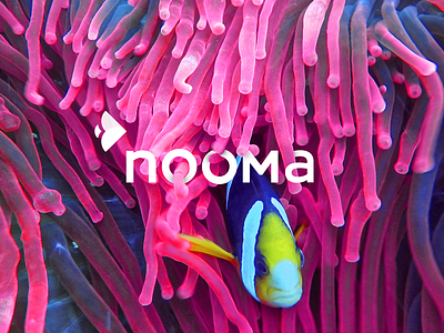 nooma
