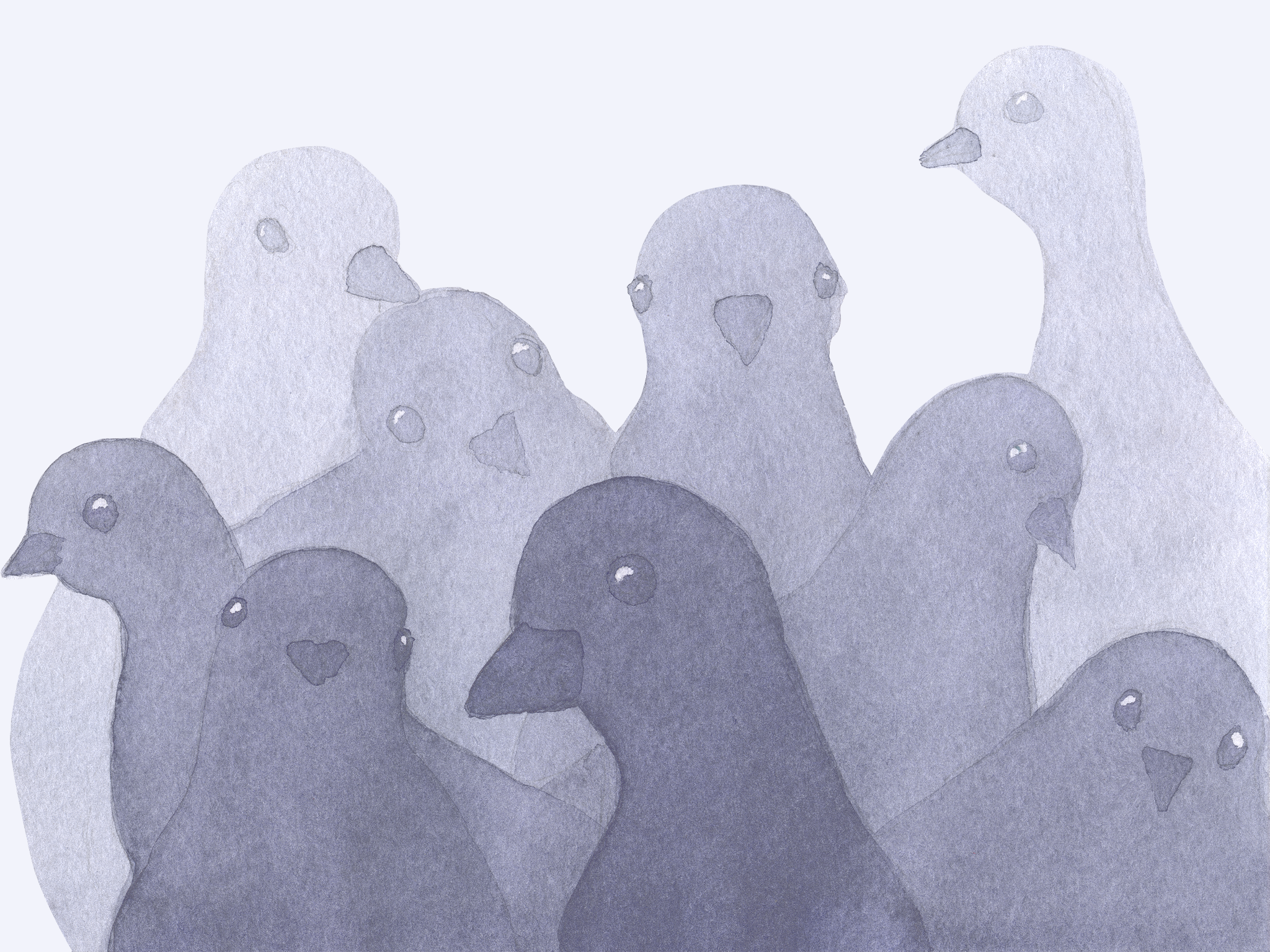 Мы рисуем голубя песня слушать. Pigeon Painting. Голубь хипстер. Pigeon funny Painting. Pigeon Art Wallpaper.