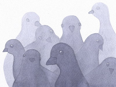 Pigeons wallpaper birds ipad iphone pigeons wallpaper watercolour