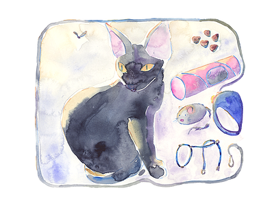 Sphynx cat breed cat feed fly illustration leash mouse sphynx toy tube watercolor watercolour