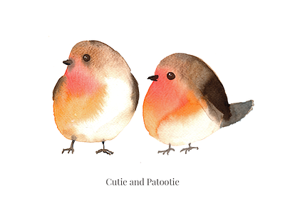 Tweet-tweet birds chirrup cutie illustration instagram live painting species stream watecolor wild life
