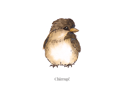 Chirrup! bird chirrup cutie illustration instagram live painting sparrow stream watecolor