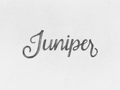 Juniper Logo craft juniper lettering lettering logo logo logotype restaurant type typography vancouver