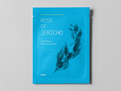 ROSE OF JERICHO - Prototype 01