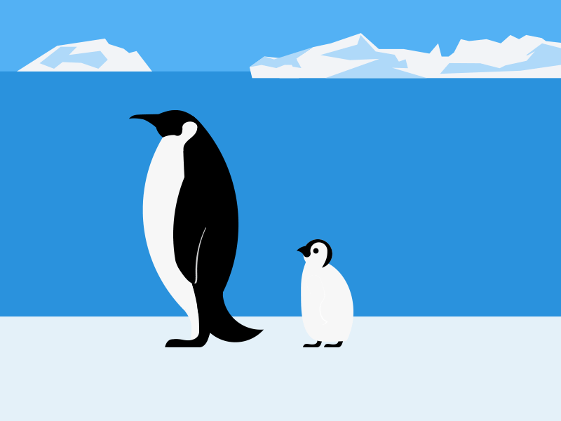 Penguin animal animation arctic blue blue character flat gif iceberg illustrator nature vector winter