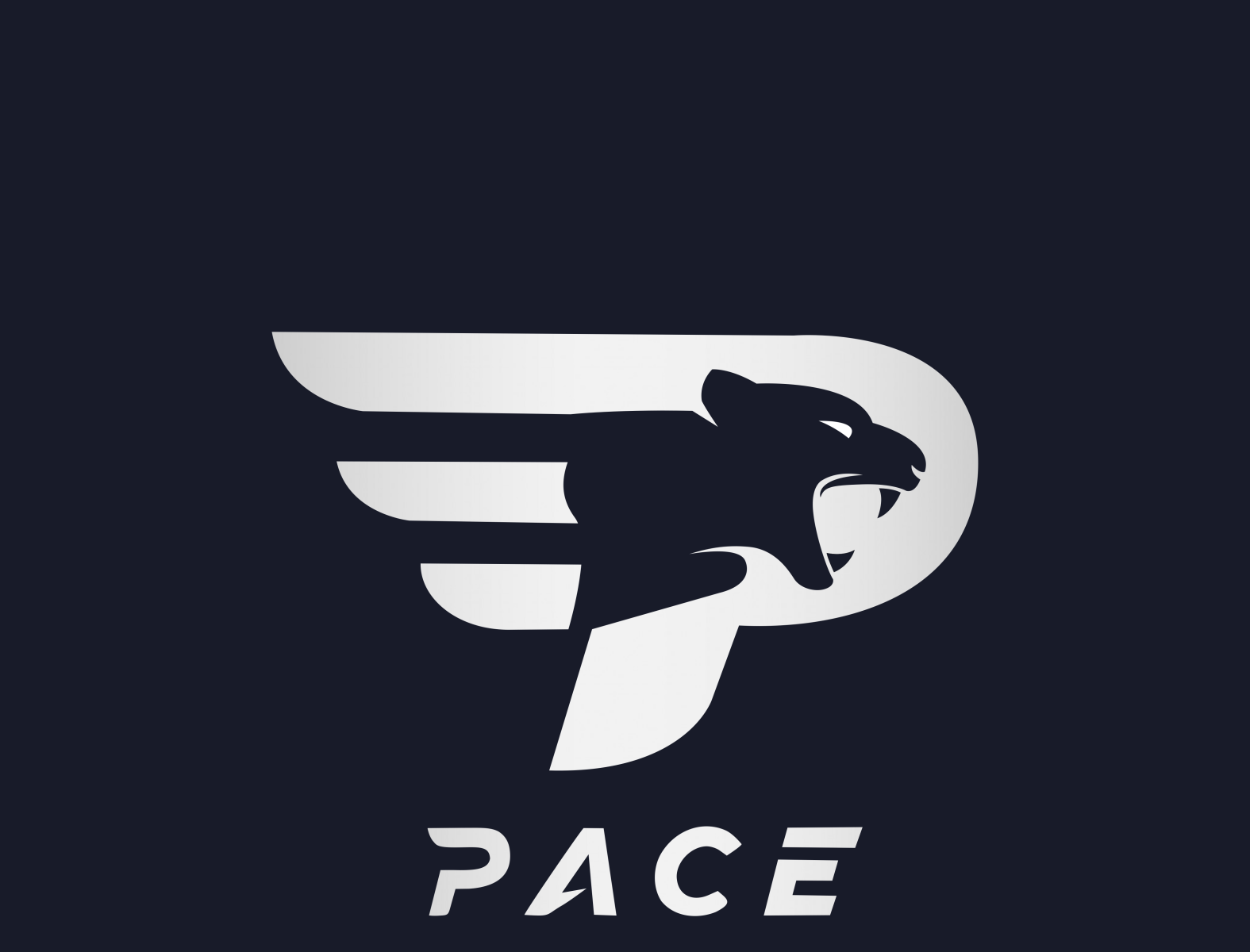 Recovery Works | PACE Indy