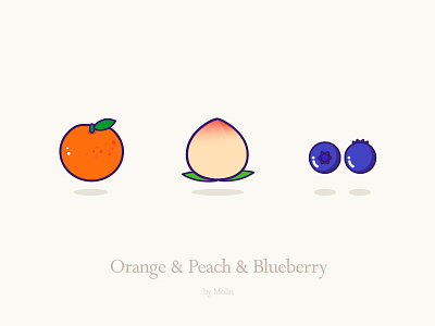Fruits blueberry food fruit icon illustration orange peach