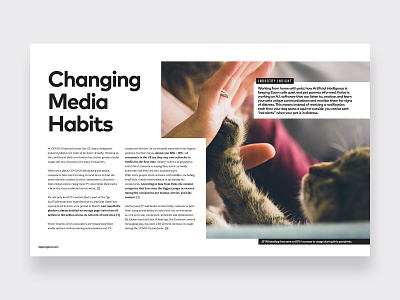 Layout Design for Insights Newsletter