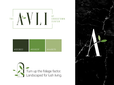 The Avli Branding apartments brand design brand identity branding campaign design design icon idenitity identity design illustration marble orlando ui visual identity