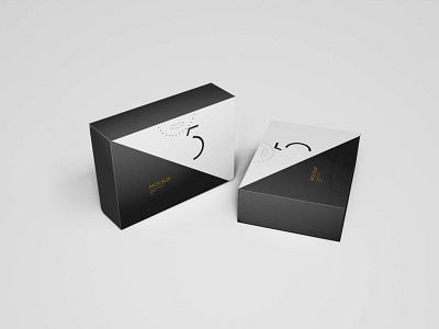 3D Box Package Mock-up Download