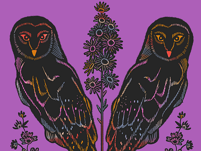Barn Owls folk art folkart illustration nature owl owl illustration procreate