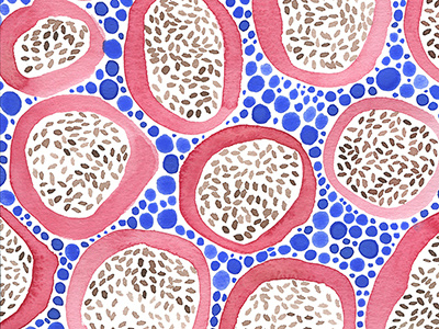 Dragon Fruit Amoebas cells cobalt dragon fruit illustration pattern pink watercolor