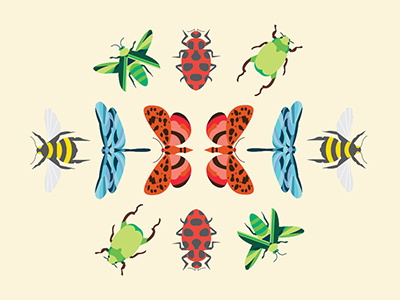 Invertebrates bee bugs dragonfly icons insects invertebrates moth pattern vector