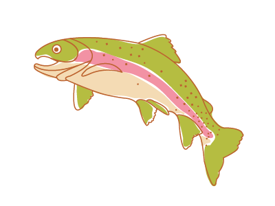 Rainbow Trout camping fish fishing icon logo nature outdoors trout vector