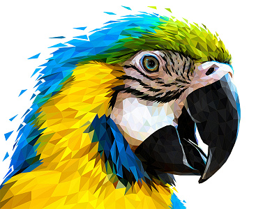 Low Poly Glitch Parrot animal bird design drawing face geometric head illustraion illustration illustrator low poly low poly lowpoly parrot realism vector