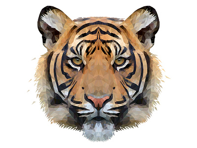 Low Poly Glitch Tiger animal cat design drawing face geometric head illustraion illustration illustrator low poly low poly lowpoly lowpolyart realism tiger triangles vector