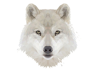 Low Poly Glitch Arctic Wolf animal design dog drawing face geometric head husky illustraion illustration illustrator low poly low poly lowpoly lowpolyart realism triangles vector wolf