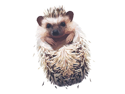 Low Poly Glitch Hedgehog animal design drawing face geometric head hedgehog illustraion illustration illustrator low poly low poly lowpoly lowpolyart realism triangles vector