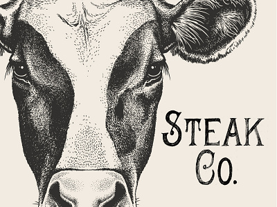 Steak Co. carnivores cow handlettering retro type vintage