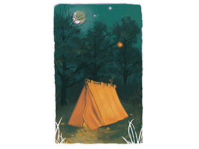 Firefly Camping animation camping firefly illustration tent