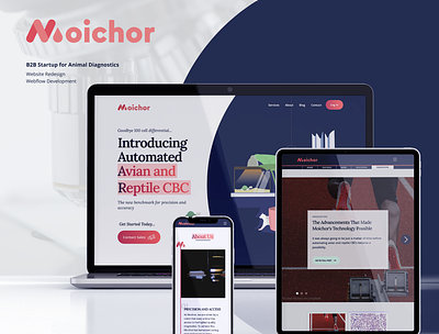 Moichor Inc. -- Website Redesign behance blog cms design dribbble figma redesign seo startup ui ux web design web development webflow