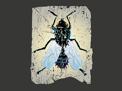 Grunge Insects T Shirt Graphics ant bugs dirt fly grunge insects slug spider t shirt t shirt art t shirt design t shirt designer t shirts texture