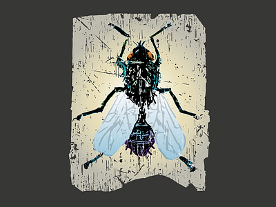 Grunge Insects T Shirt Graphics