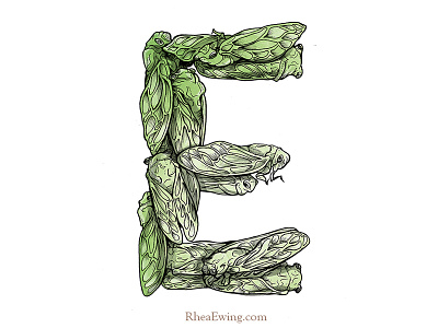 Love Letter: E cicadas font illustration letter e typography