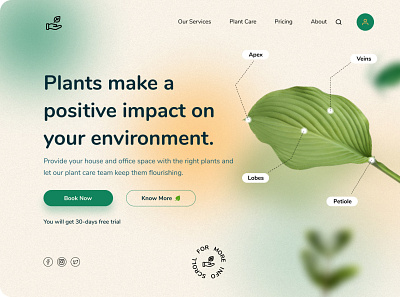 Plant care website application branding design graphic design illustration logo ui ux uxdesign vector