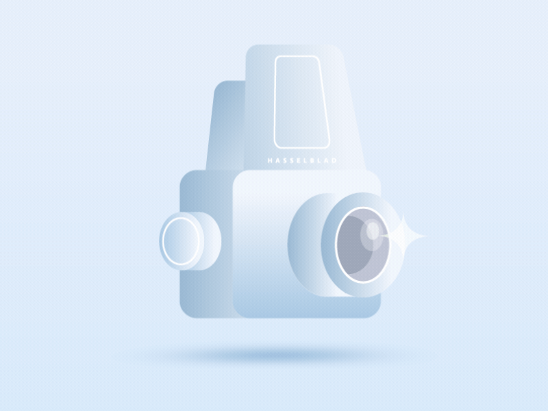 Happy National Camera Day film camera flash gif hasselblad illustration lens motion graphic