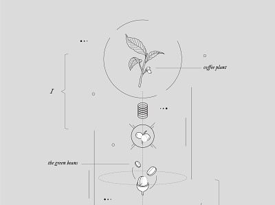 Three Steps of Coffee Making (1/2) coffee design editorial illustration graphic design illustration vector vector illustration