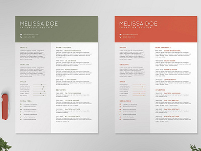 Resume/CV Template IV