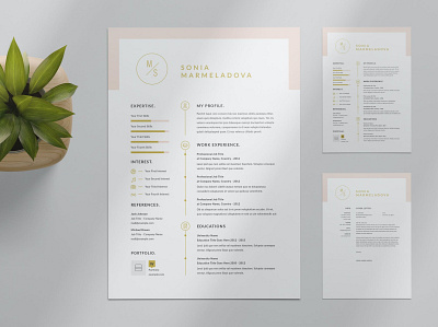 Resume Layout clean cover letter cv cv design cv template free job job cv letter minimal minimal resume modern modern resume professional resume resume clean resume design resume template simple resume