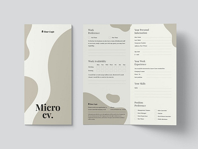 Micro CV/Resume Template